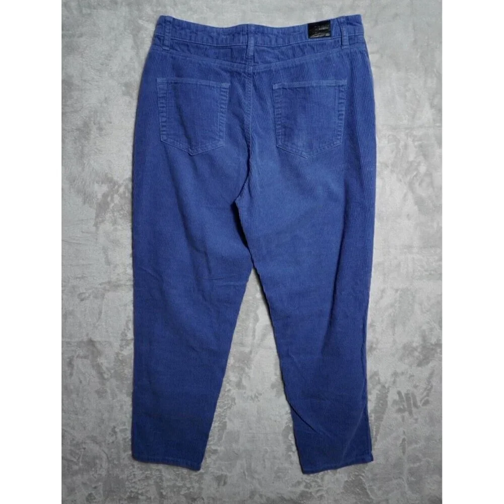 BDG Urban Outfitters Womens Pants 30 Mom High Rise Navy Corduroy